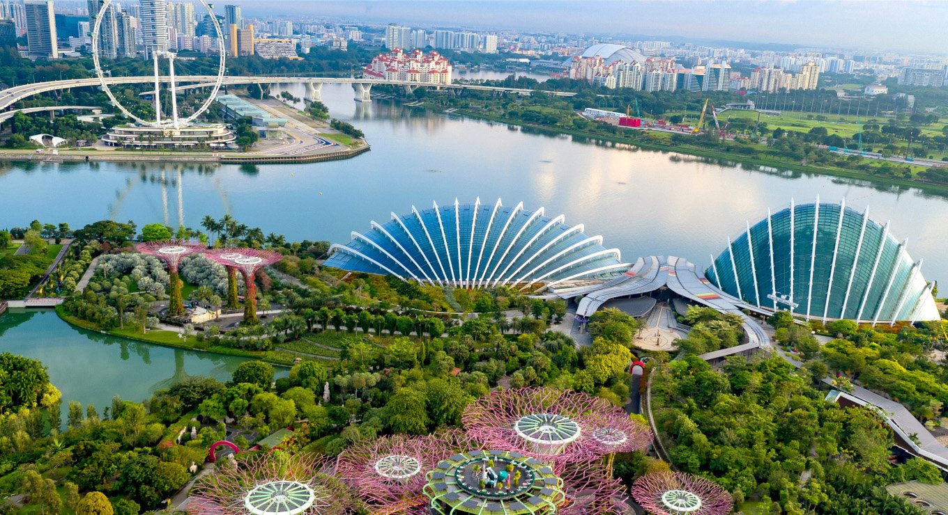 Singapore Tourism Board achieves 78× ROAS with smart targeting and full-funnel storytelling