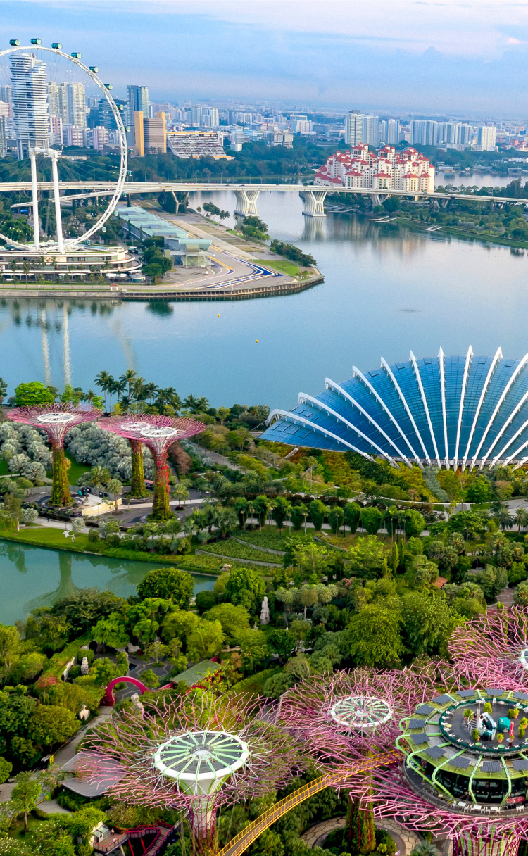 Singapore Tourism Board achieves 78× ROAS with smart targeting and full-funnel storytelling