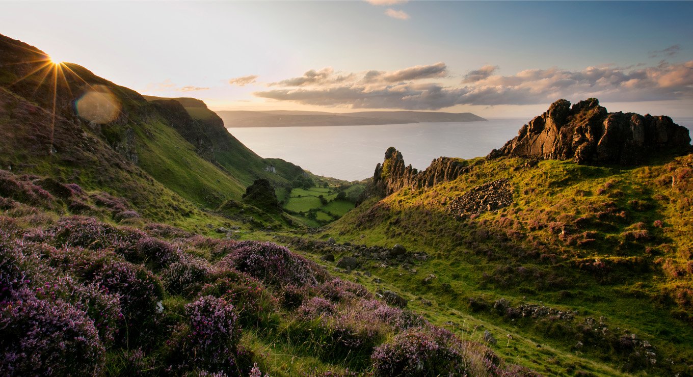 Tourism Ireland drives 39x ROAS by rebalancing travel across Ireland’s regions