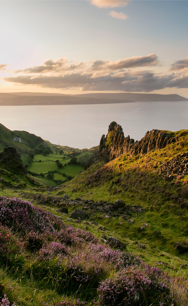 Tourism Ireland drives 39x ROAS by rebalancing travel across Ireland’s regions