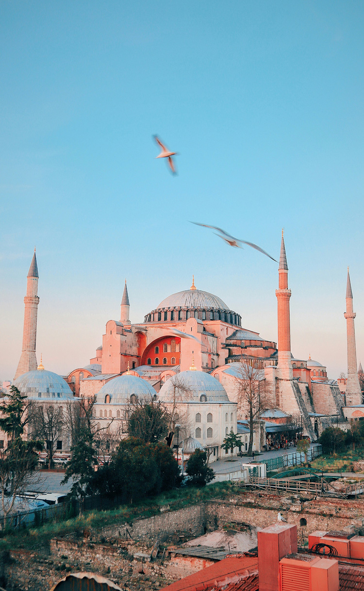 Helping Turkish Airlines increase peak season searches by 38%